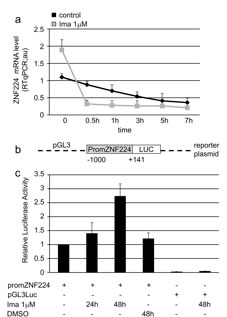 fig5