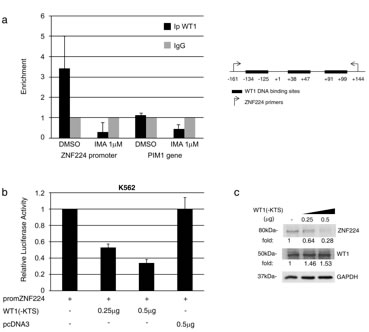 fig6a