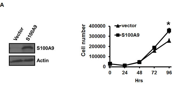 fig2a