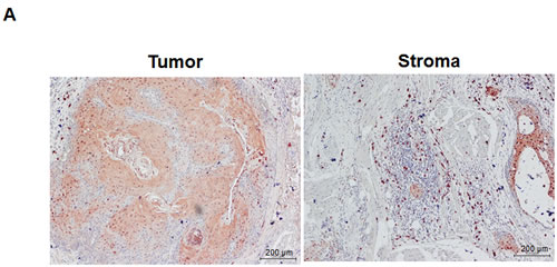 fig3a