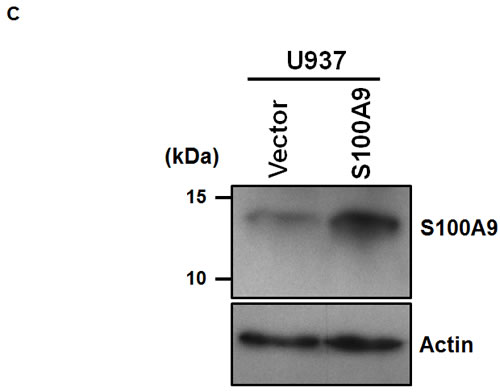 fig3c
