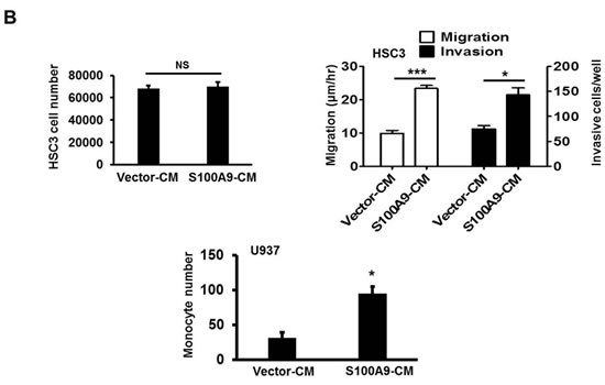 fig4b
