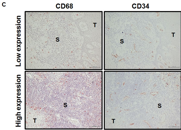 fig6c
