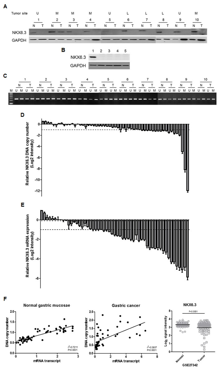 fig1