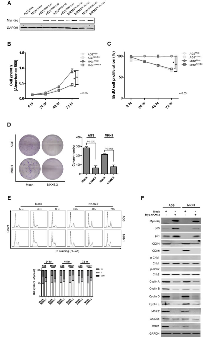 fig2