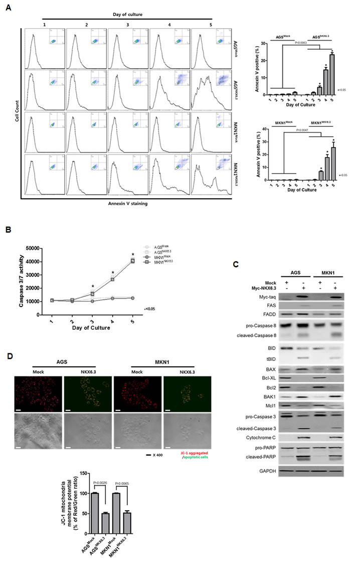 fig3
