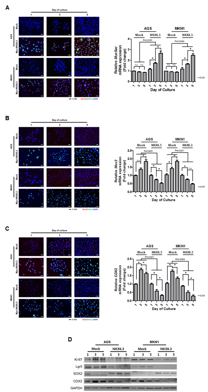 fig4