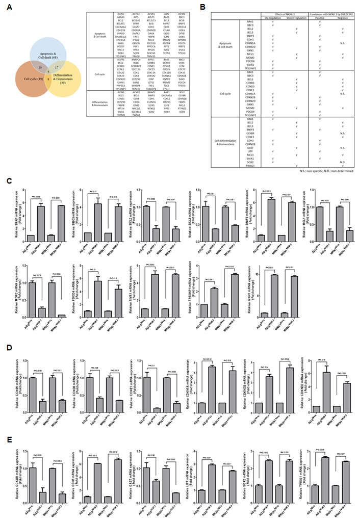 fig5
