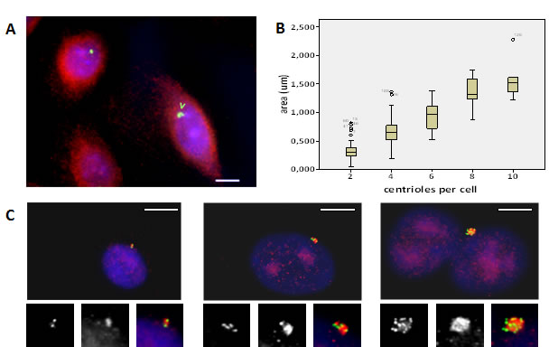 fig3