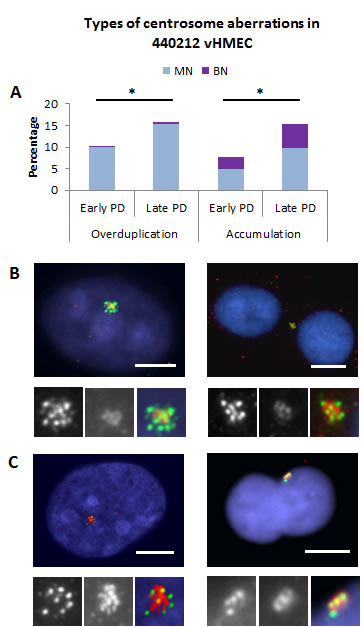 fig6