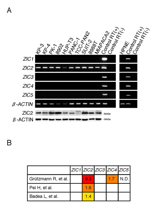 fig1