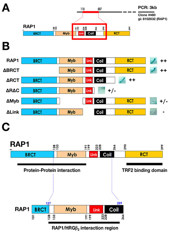 fig1