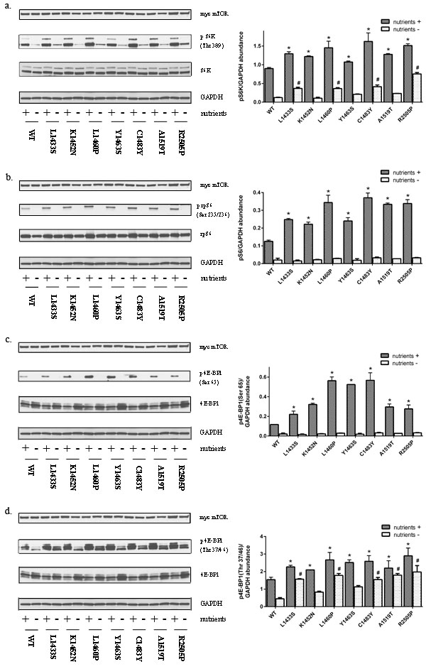 fig2