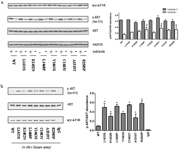 fig3