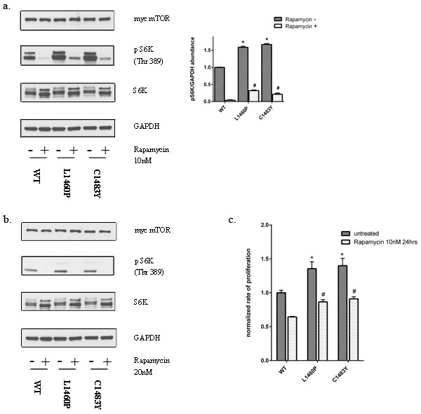 FIG6