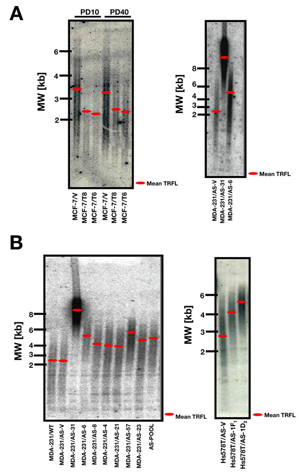 fig1