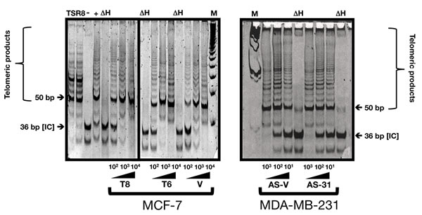 fig2