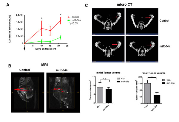 fig2