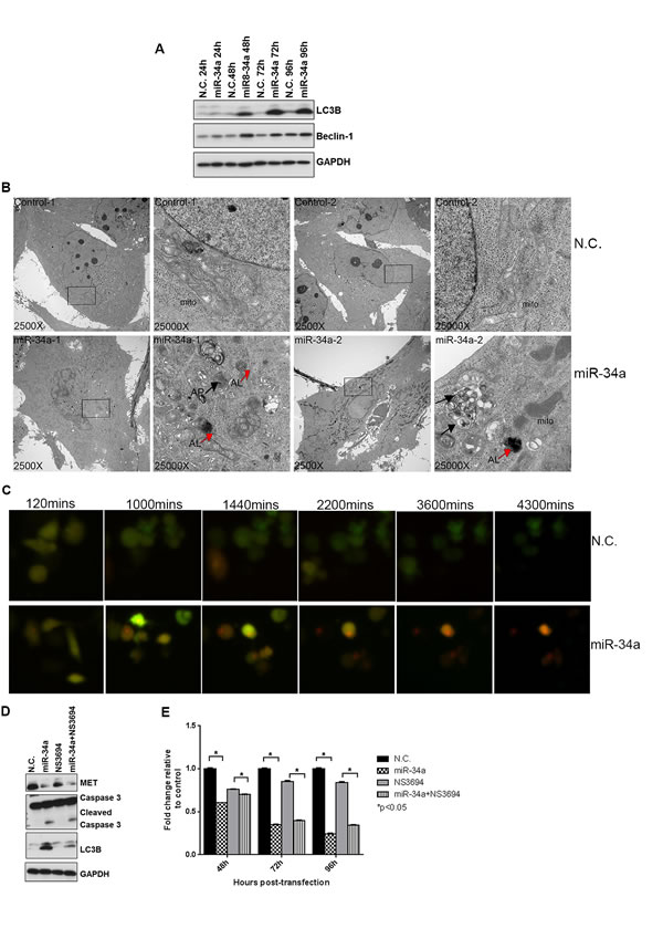 fig3