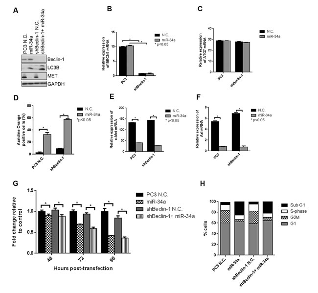 fig4