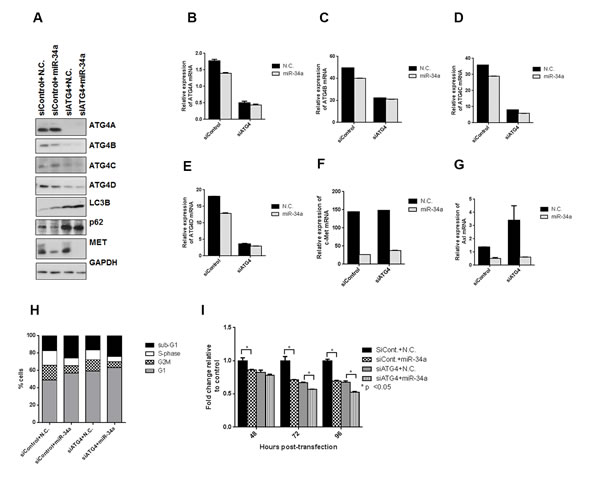 fig6