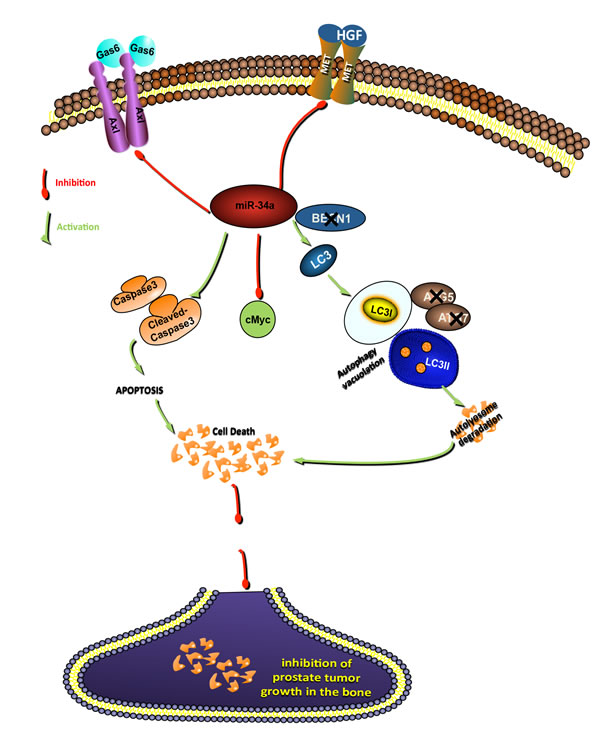 fig7