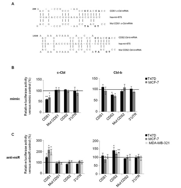 fig2