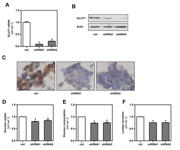 fig2
