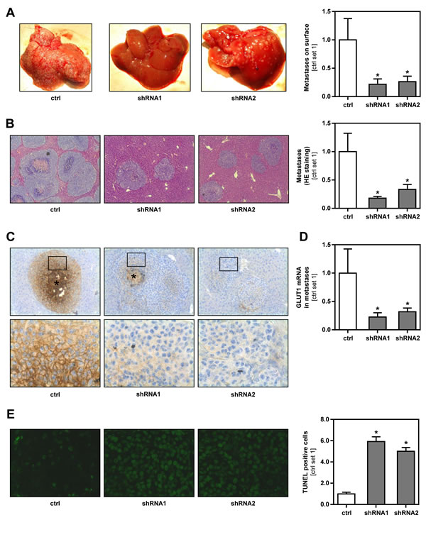 fig4