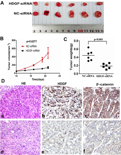 fig4