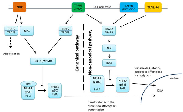 fig3