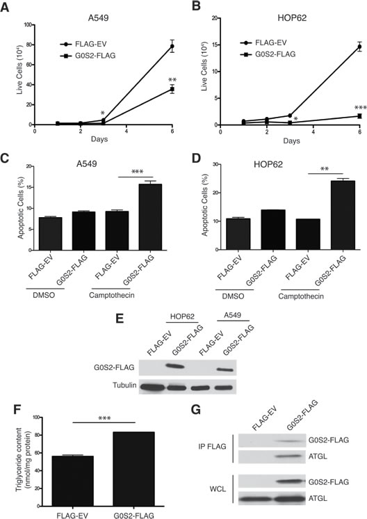 FIG1