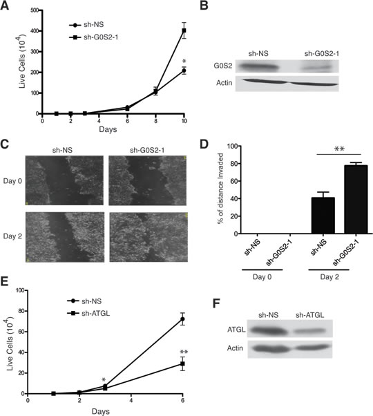 FIG2
