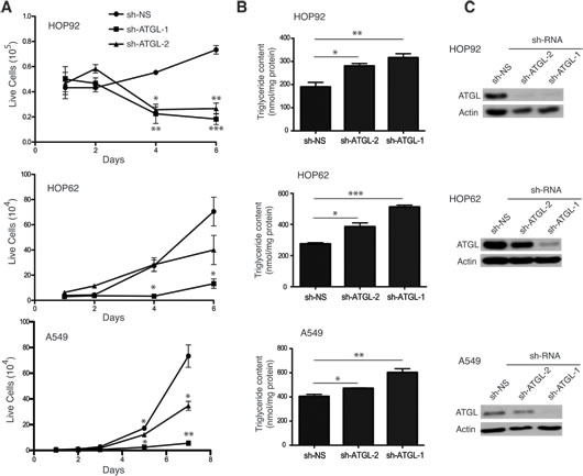 FIG3