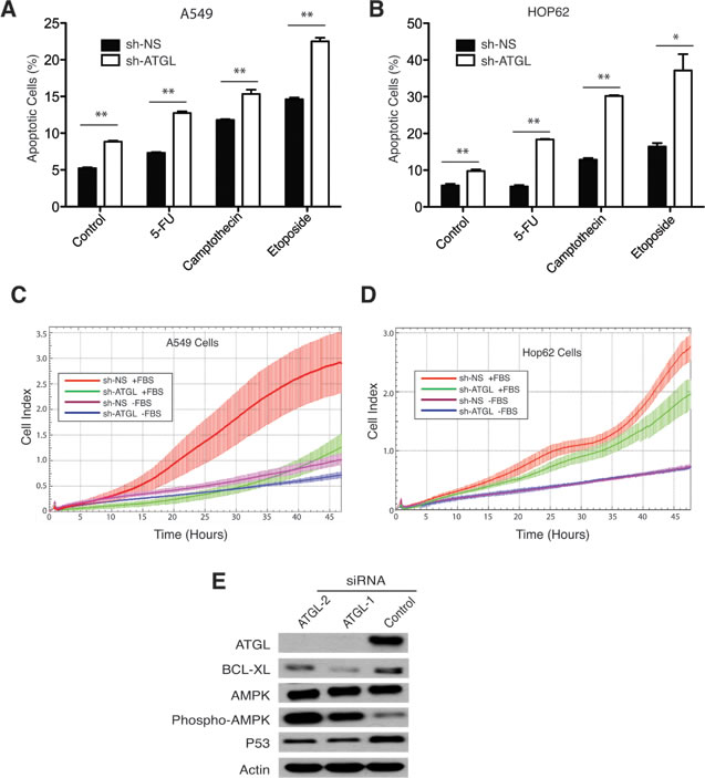 fig4