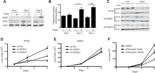 fig6