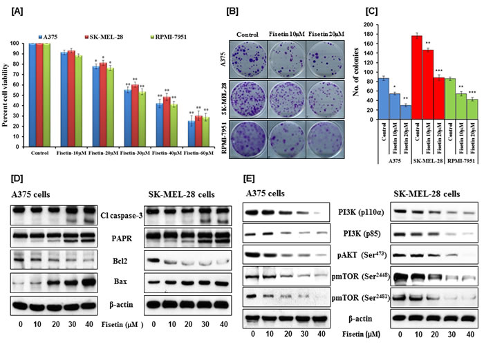 fig1