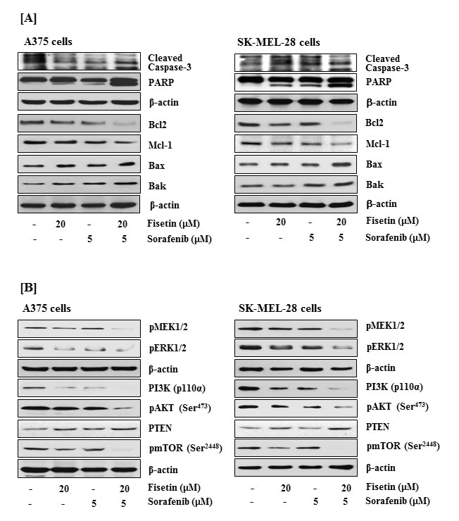 fig3
