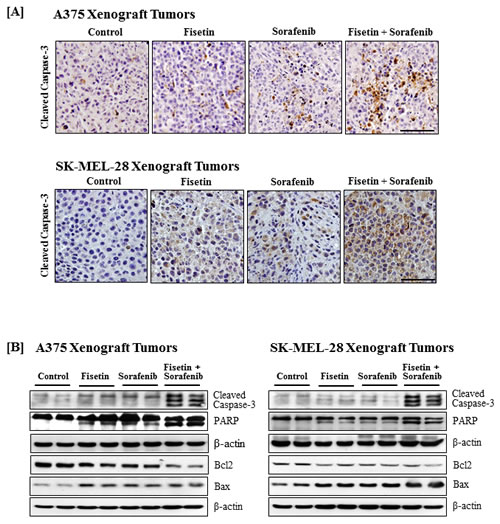 fig6