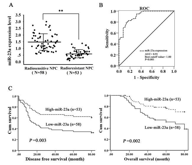 fig1