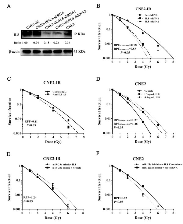 fig4