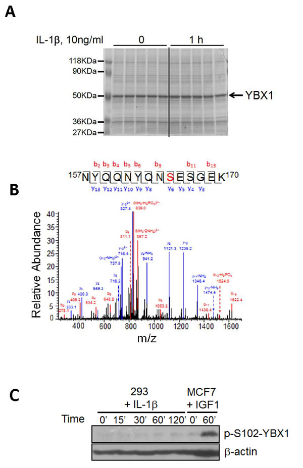 fig1