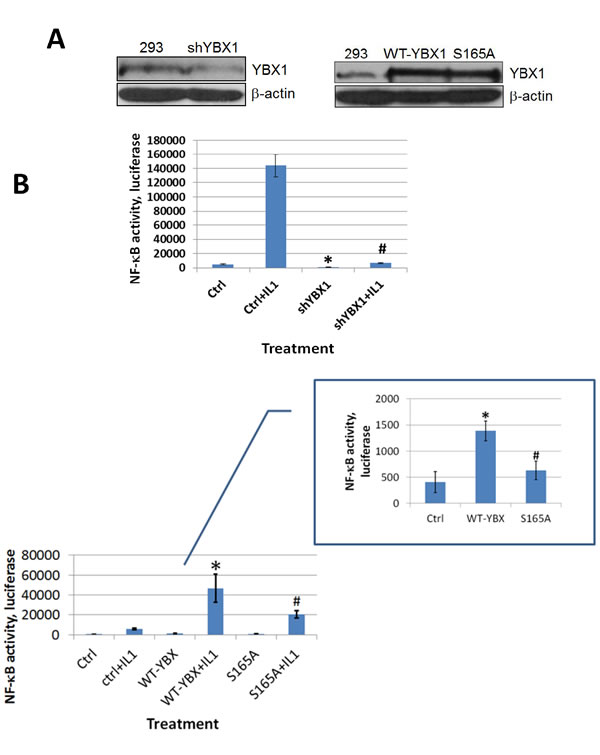 fig2a