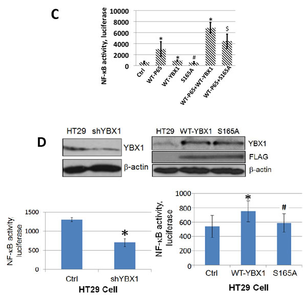 fig2b
