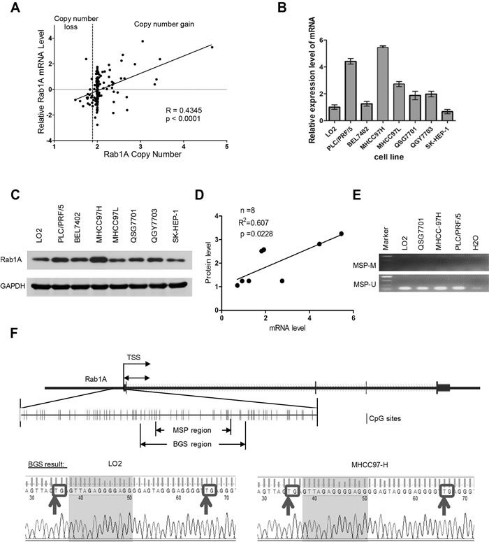 fig1