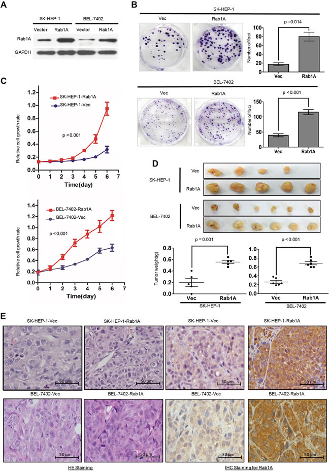 fig2