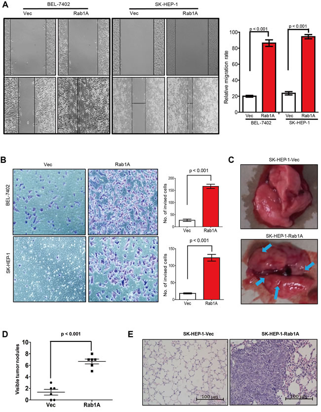 fig3