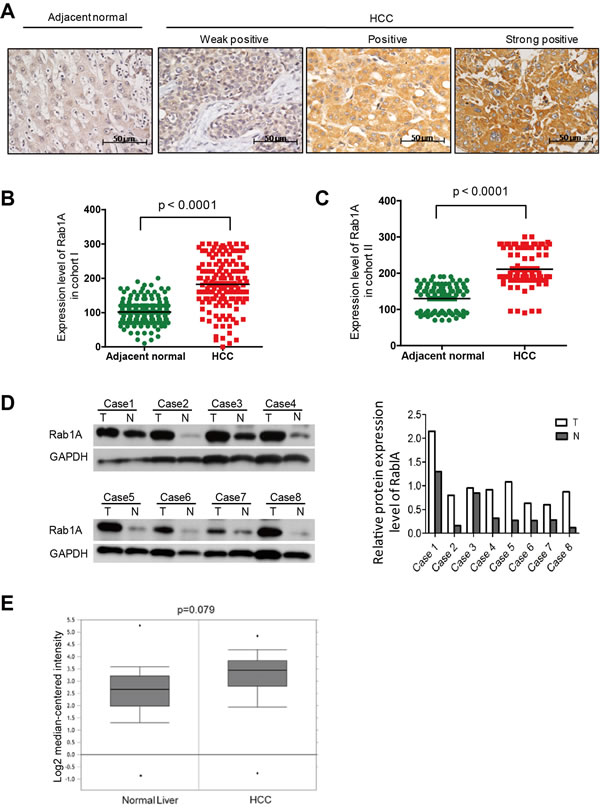 fig6