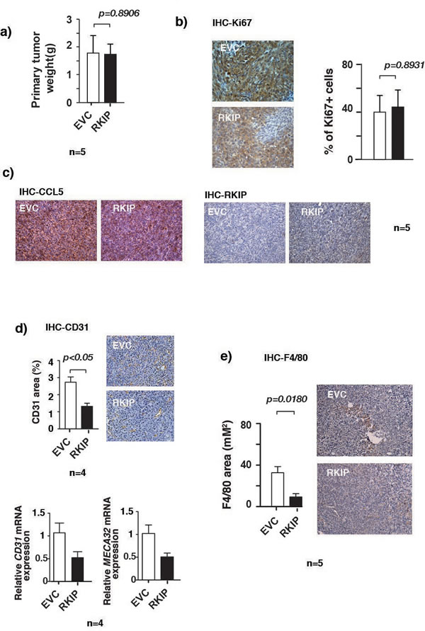 fig4