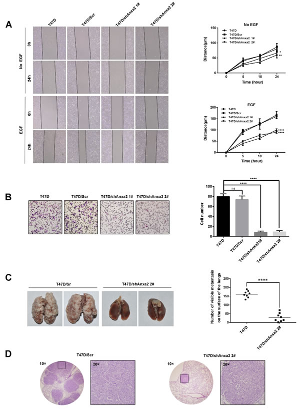 fig3
